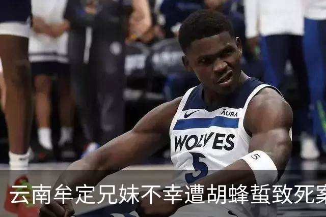 云南牟定兄妹不幸遭胡蜂蜇致死案件一审开庭，辩护人否认责任